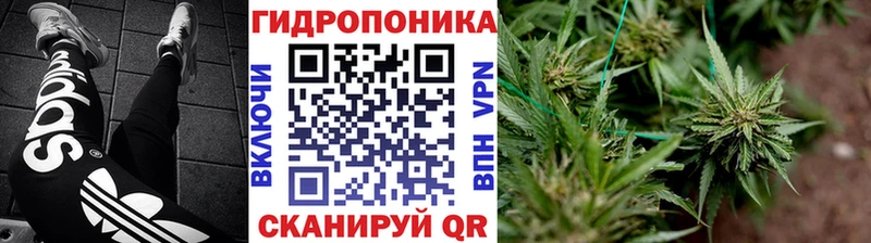 Конопля THC 21%  Перевоз 